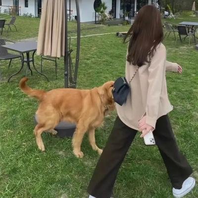 女性思维